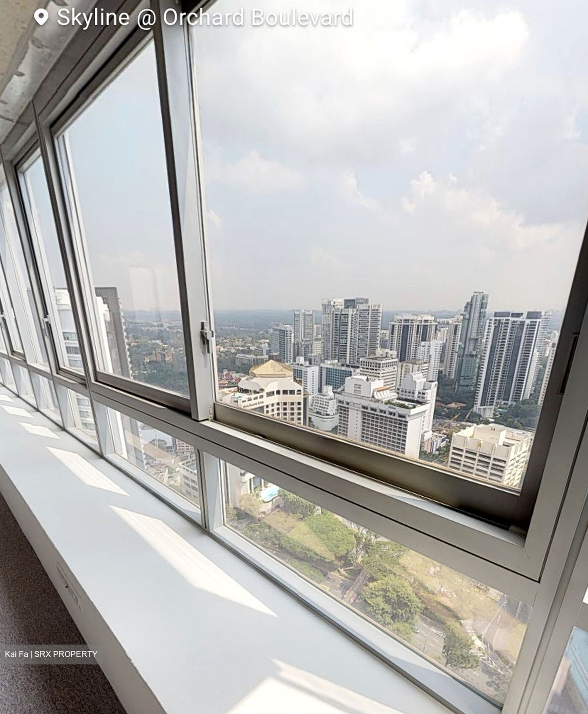 Skyline @ Orchard Boulevard (D9), Apartment #334888611